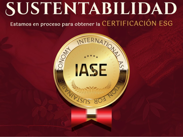 Preventa Exclusiva en San Miguel de Allende! Residencias Premium desde $11,300,0