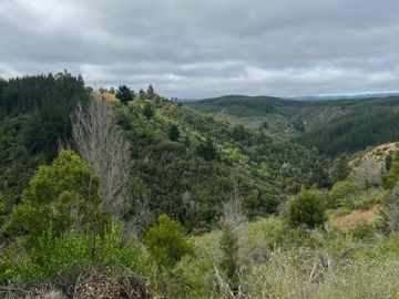 Hermosa Parcela en Loteo Vista Cuarzo , Pichilemu