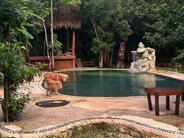 Venta Hotel y complejo ecológico exclusivo en Tulum, Q.Roo