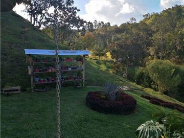 Finca San Vicente Vereda Chaparral