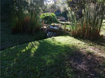 Finca San Vicente Vereda Chaparral