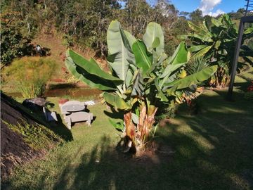 Finca San Vicente Vereda Chaparral