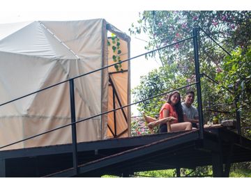 Venta Casa Campestre Filandia Quindio COD: 3917171