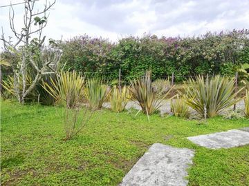 Venta Casa Campestre Filandia Quindio COD: 3917171
