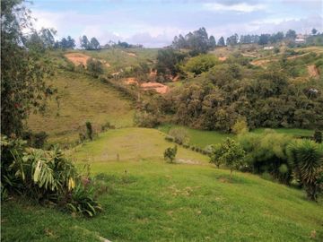 Finca Vía Rionegro - El Carmen Viboral