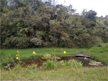 Finca Vía Rionegro - El Carmen Viboral