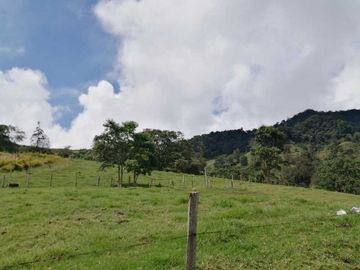 Venta Finca  en Guayabal.