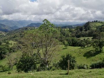 Venta Finca  en Guayabal.