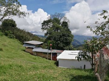 Venta Finca  en Guayabal.