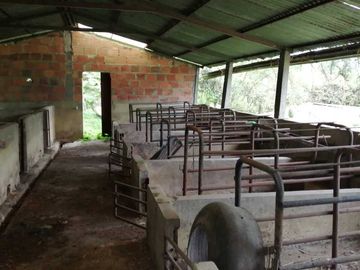 Venta Finca  en Guayabal.