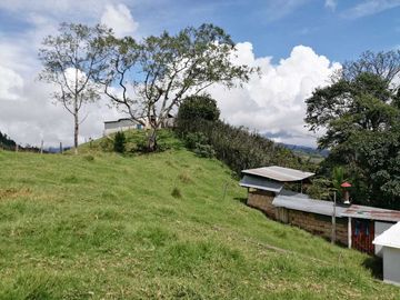 Venta Finca  en Guayabal.