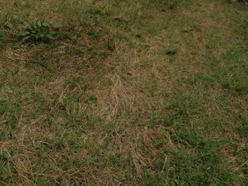 Venta Finca  en Guayabal.