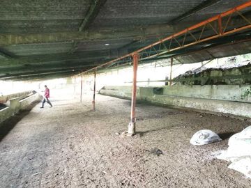 Venta Finca  en Guayabal.
