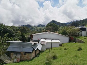 Venta Finca  en Guayabal.