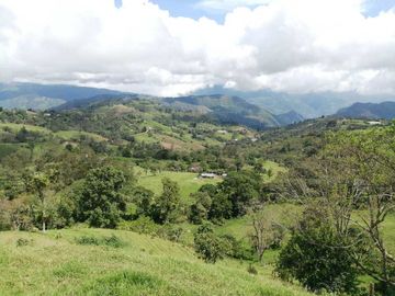 Venta Finca  en Guayabal.