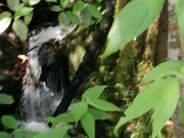 Venta Finca  en Guayabal.