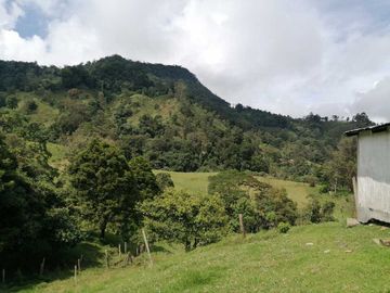 Venta Finca  en Guayabal.