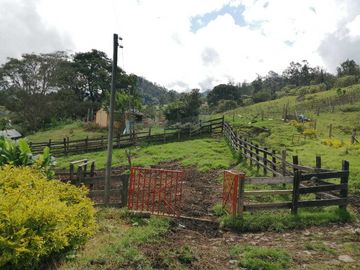 Venta Finca  en Guayabal.