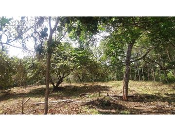 Venta: terreno en Punta Barco, San José
