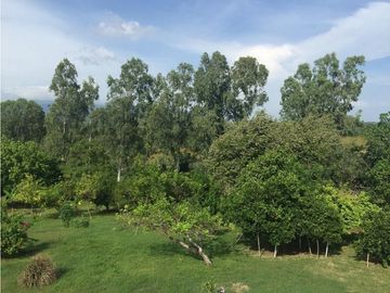 Venta: Terreno con casa en Las Lajas (Cabuya)