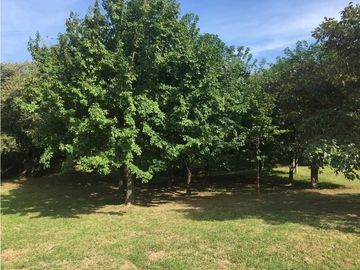 Venta: Terreno con casa en Las Lajas (Cabuya)