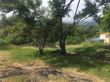 Venta: Terreno con casa en Las Lajas (Cabuya)