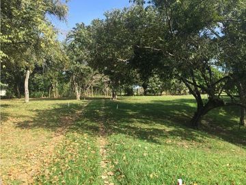 Venta: Terreno con casa en Las Lajas (Cabuya)