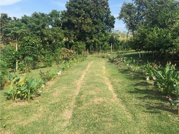 Venta: Terreno con casa en Las Lajas (Cabuya)