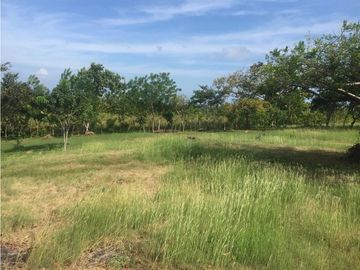 Venta: Terreno con casa en Las Lajas (Cabuya)