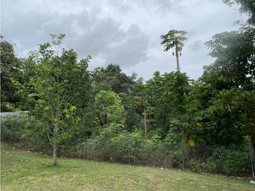 Venta: Lote de 4hcts en La Ermita de san Carlos con Casa y Cabañas