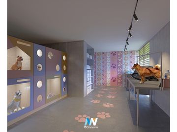 Proyecto DOVLE CINCUENTENARIO en Coco del Mar (CM_V)
