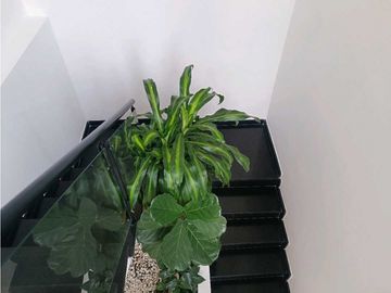 Casa en venta en el sector la brisas Municipio de Sabaneta
