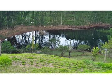 DISFRUTA DE LA NATURALEZA Y SU EXPLENDOR EN EL PEÑOL, CASA CAMPESTRE