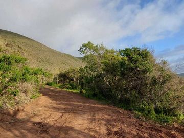 Parcela en venta en LOS VILOS
