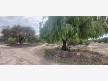 Terreno en Venta en Santiago Alseseca