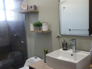 CASAS EN VENTA EN CORREGIDORA EN HACIENDA CARLOTA CON RECAMARA EN PB