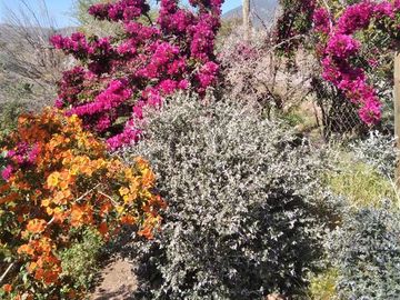 Parcela en Venta en Hacienda Rinconada de Los Andes