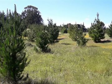 Sitio en Venta en Camino Vecinal/Surf Lodge