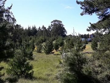 Sitio en Venta en Camino Vecinal/Surf Lodge
