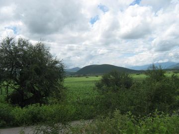 RANCHO EN VENTA EN SAN CIRO DE ACOSTA