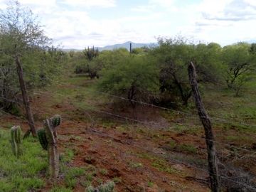 RANCHO EN VENTA EN SAN CIRO DE ACOSTA