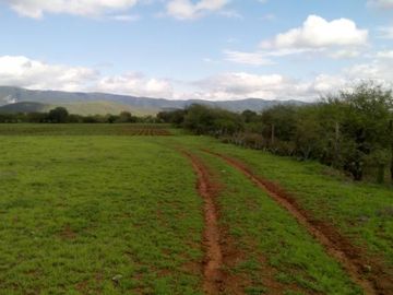 RANCHO EN VENTA EN SAN CIRO DE ACOSTA