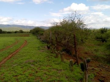 RANCHO EN VENTA EN SAN CIRO DE ACOSTA