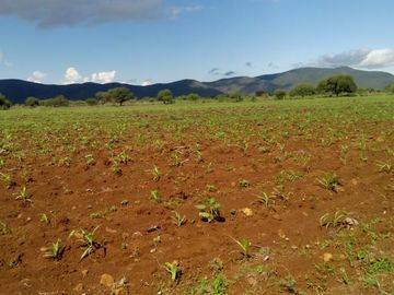 RANCHO EN VENTA EN SAN CIRO DE ACOSTA