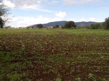 RANCHO EN VENTA EN SAN CIRO DE ACOSTA