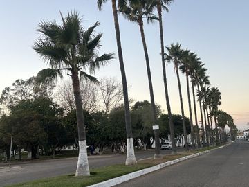 Casa en venta con  jardín - Playas de Tijuana - secc coronado