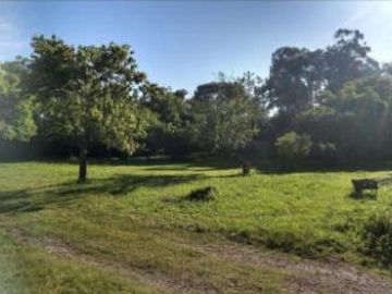 Quinta en venta - 4 Dormitorios 3 Baños - Galpón - 6.993Mts2 - Mar del Plata