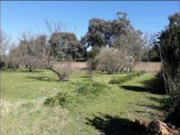 Quinta en venta - 4 Dormitorios 3 Baños - Galpón - 6.993Mts2 - Mar del Plata