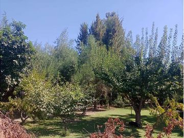 VENTA DE HERMOSA PARCELA CON GRAN CASA CON CAVA!!