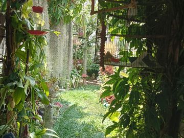 Venta Amplia y acogedora casa en Prados del Norte, Cali